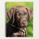 Suche nach schokolade labrador büro zubehör Hund