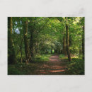 Suche nach waldweg postkarten Park