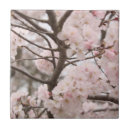 Suche nach sakura fliesen Natur