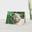 Suche nach bestie postkarten Fotografie