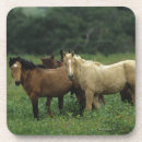 Suche nach mustang untersetzer Bob langrish