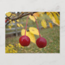 Suche nach postage Natur