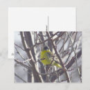 Suche nach wintervögel postkarten Vogelvogel