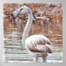 Suche nach exotic poster Vogelvogel