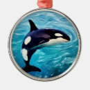 Suche nach orca ornamente Meere