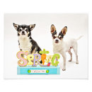 Suche nach tier freundlich poster Hund