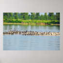 Suche nach donau poster Landschaft