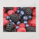 Suche nach himbeeren poster Kochen