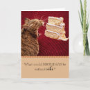 Suche nach große katzen karten Katzenliebhaber