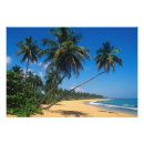 Suche nach greg poster Strand