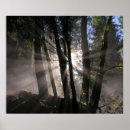Suche nach wasserscheide poster Wald