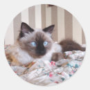 Suche nach kawaii katze aufkleber Niedliches kätzchen