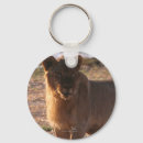 Suche nach löwen schlüsselanhänger Wildtiere