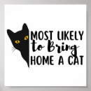 Suche nach lustige schwarze katze poster Spaß