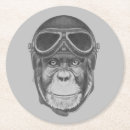 Suche nach schimpanse an untersetzer Tier