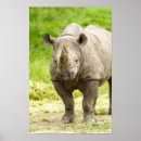 Suche nach rhino poster Savanne