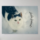 Suche nach kitschige poster Haustier