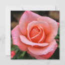 Suche nach botanischer druck karten Rose