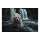Suche nach spirit bear poster Tierwelt