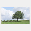 Suche nach kirschbaum aufkleber Kirschen