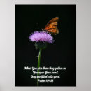 Suche nach hübscher schmetterling poster Blume
