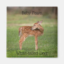 Suche nach spots magnete Hirsche