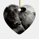 Suche nach rindfleisch ornamente Vieh