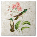 Suche nach kolibris fliesen Tropisch
