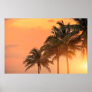 Suche nach miami poster Travel