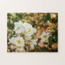 Suche nach weiße rosen puzzle Natur