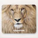 Suche nach wilde katzen mousepads Tierwelt