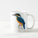 Suche nach eisvogel tassen Natur