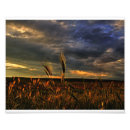 Suche nach hdr poster Natur