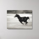 Suche nach cowgirl leinwandbilder Pony