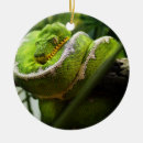 Suche nach schlangen ornamente Natur