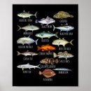 Suche nach biologie poster Tier
