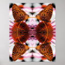 Suche nach schmetterling und blume poster Foto