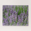 Suche nach honigbienen puzzle Bestäubung