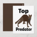 Suche nach fleischfresser postkarten Wildtiere