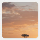 Suche nach masai aufkleber Szene