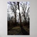 Suche nach winter poster Wald