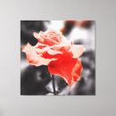 Suche nach rote rosen leinwandbilder Blumig