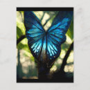 Suche nach blauer morpho schmetterling postkarten Natur