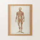 Suche nach anatomie puzzle Vintag