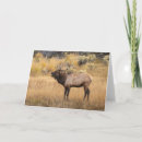 Suche nach yellowstone nationalpark karten Wyoming