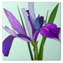 Suche nach lila blume fliesen Blumenreich