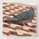 Suche nach taube wanduhren Niedlich