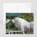 Suche nach spiegelung poster Reflexion