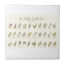 Suche nach kräuter fliesen Gartenarbeit