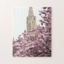Suche nach cherry blossom puzzle Fotografie
